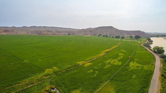 DJI_0459