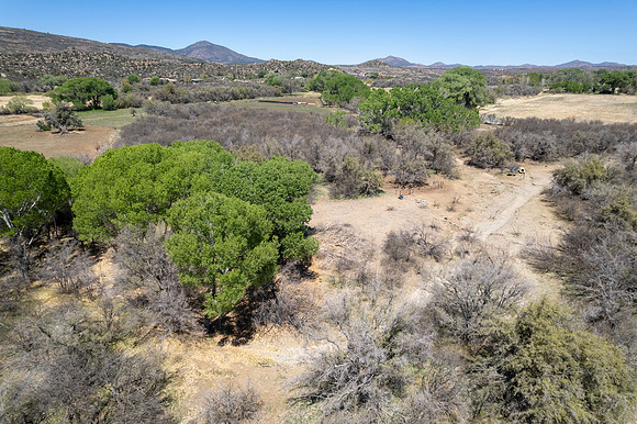 DJI_0983