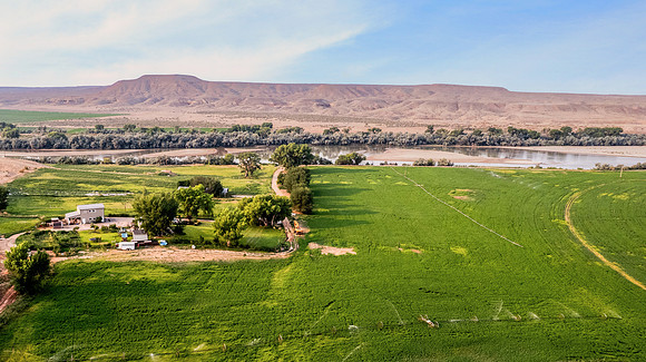 DJI_0444