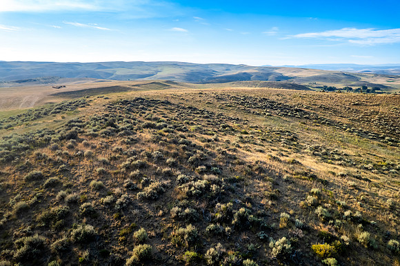DJI_0165