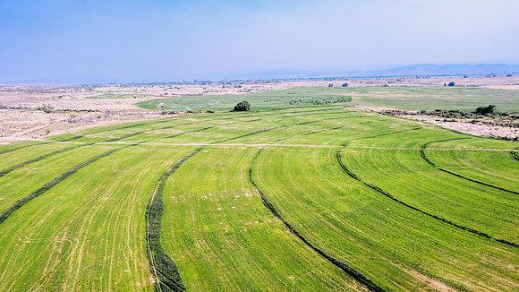 DJI_0535 (2)