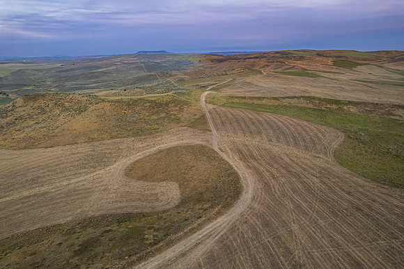 DJI_0138
