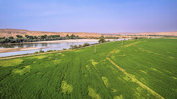 DJI_0481 (2)