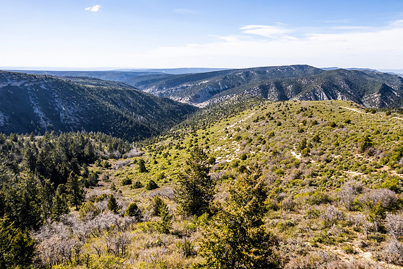 DJI_0887