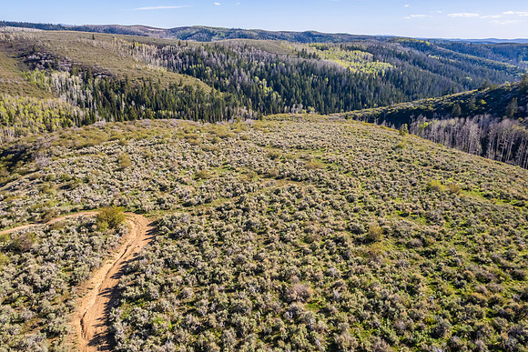 DJI_0941