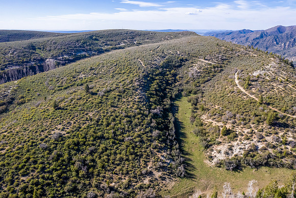 DJI_0918