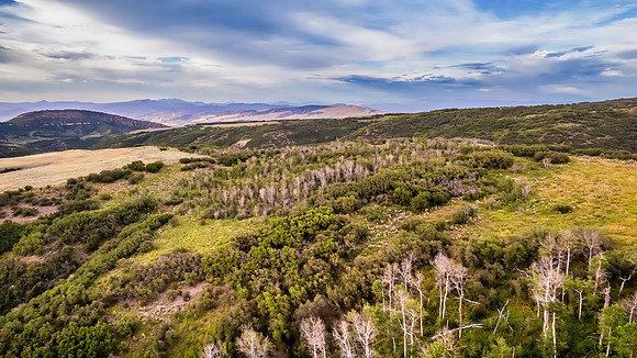 DJI_0349