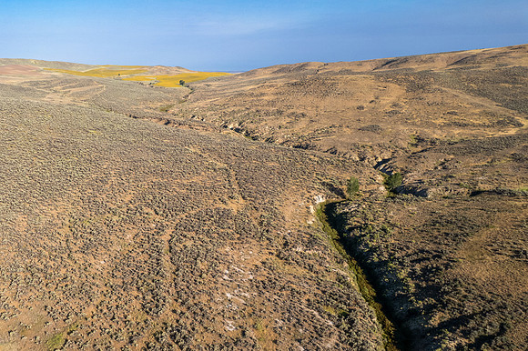 DJI_0181
