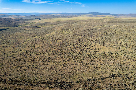 DJI_0180