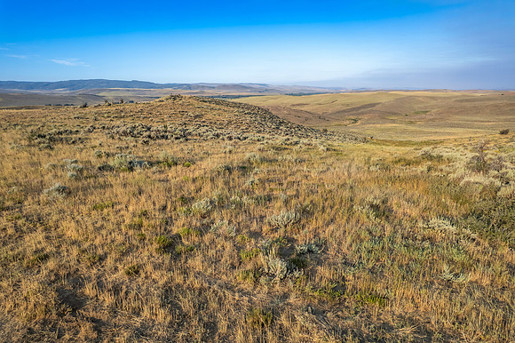 DJI_0167