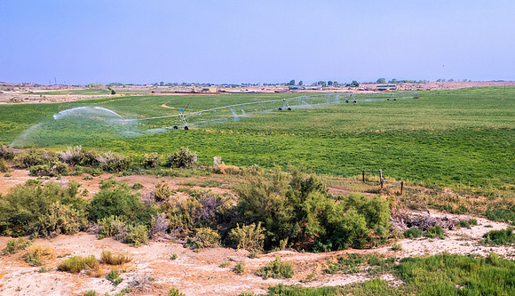 DJI_0555 (2)