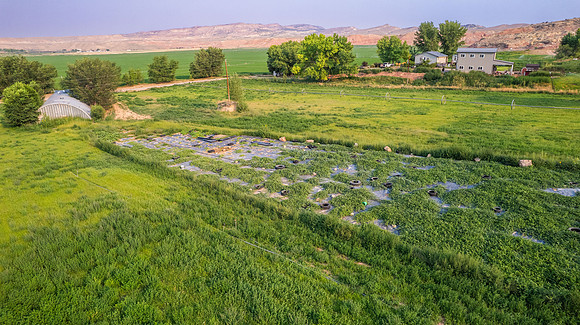 DJI_0465 (2)