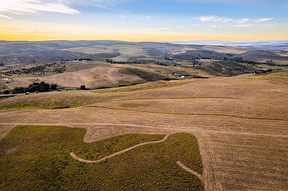 DJI_0115