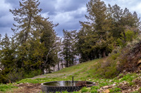 DSC_9954 (1)