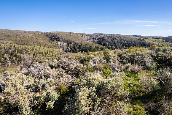 DJI_0945