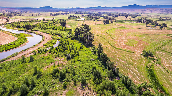 DJI_0225