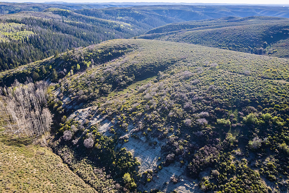 DJI_0936