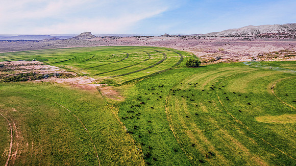 DJI_0529