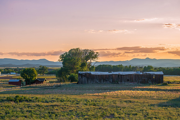 DSC_1600