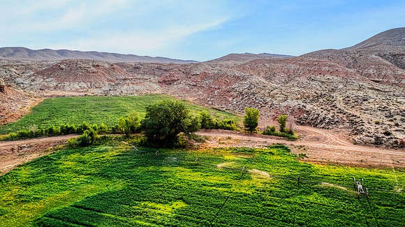 DJI_0432 (2)