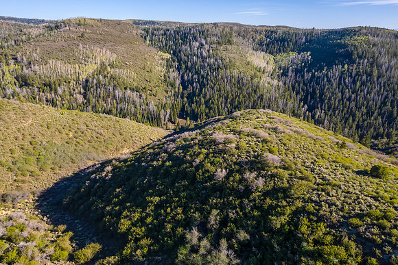 DJI_0951