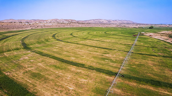 DJI_0550 (2)