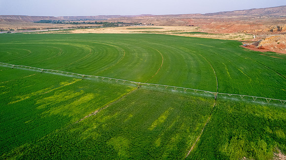 DJI_0448 (2)