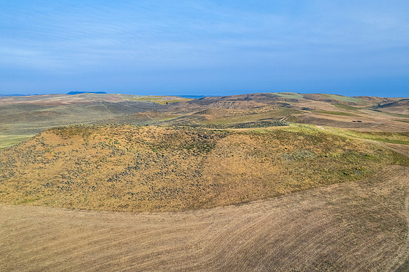 DJI_0152