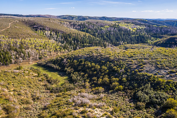 DJI_0933