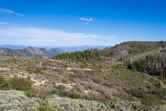 DJI_0902