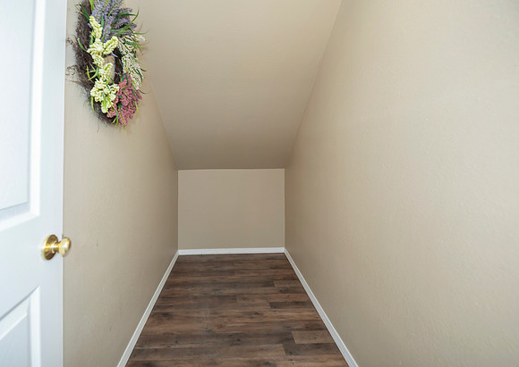 basement storage closet in living room