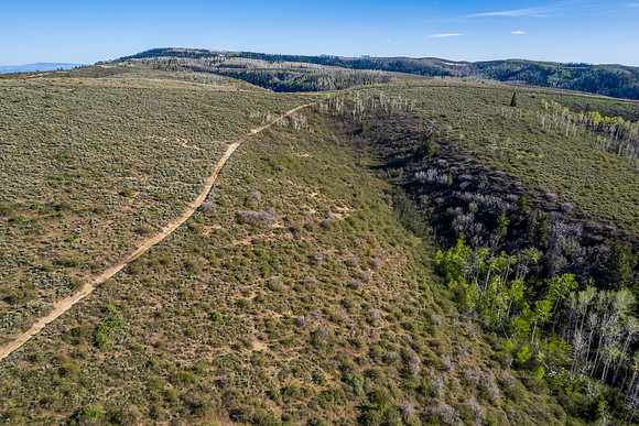 DJI_0916
