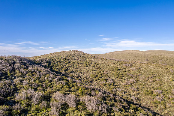 DJI_0952